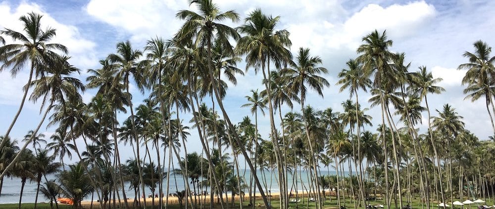 Maha Wadduwa West - Sri Lanka