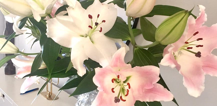 vad vill ni läsa om