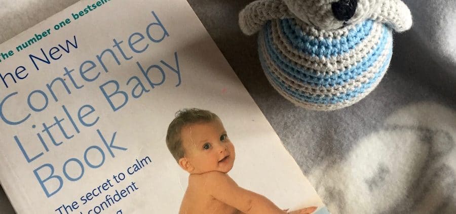Gina Ford content little baby book