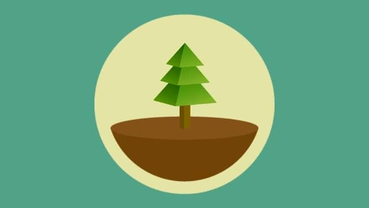 Forest - congrats